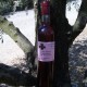 Vinaigre de vin à la mûre